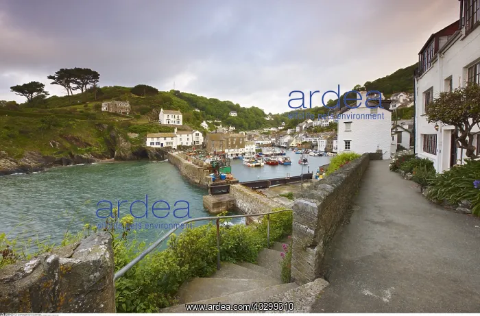 : Geography / travel, Great Britain, England, Cornwall : Geography / travel, Great Britain, England, Cornwall