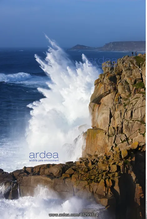 : Geography / travel, Great Britain, England, Cornwall : Geography / travel, Great Britain, England, Cornwall