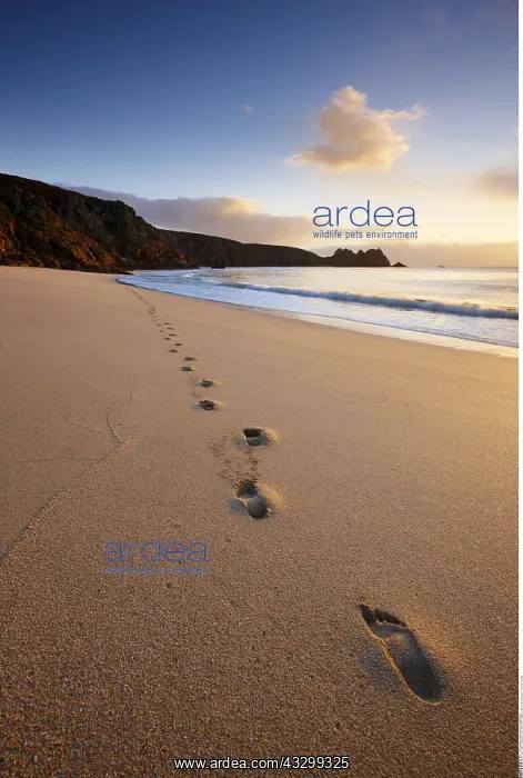  : Geography  /  travel, Great Britain, England, Footprints