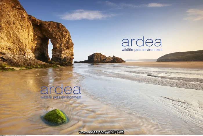: Geography / travel, Great Britain, England, Cornwall : Geography / travel, Great Britain, England, Cornwall