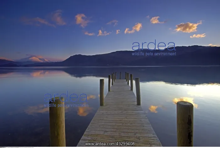 : geography / travel, Great Britain, England, Brandelhow : geography / travel, Great Britain, England, Brandelhow