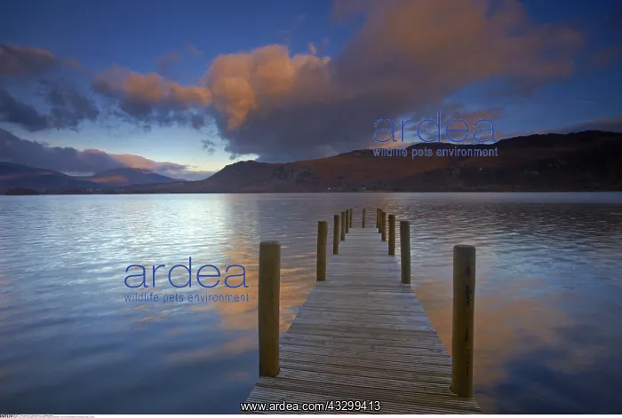 : geography / travel, Great Britain, England, Brandelhow : geography / travel, Great Britain, England, Brandelhow