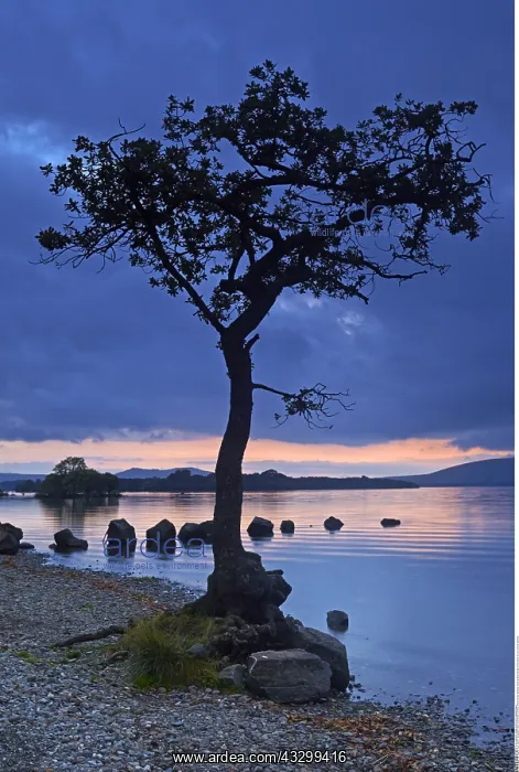 : geography / travel, Great Britain, Scotland, Millarochy : geography / travel, Great Britain, Scotland, Millarochy