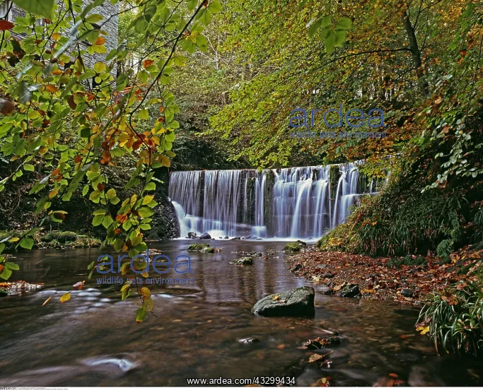 : geography / travel, Great Britain, England, Ambleside : geography / travel, Great Britain, England, Ambleside