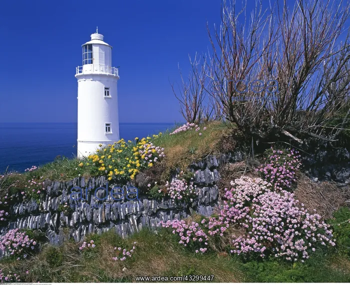 : geography / travel, Great Britain, England, Trevose : geography / travel, Great Britain, England, Trevose