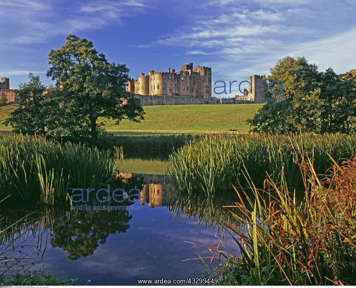 : geography / travel, Great Britain, England, Alnwick : geography / travel, Great Britain, England, Alnwick