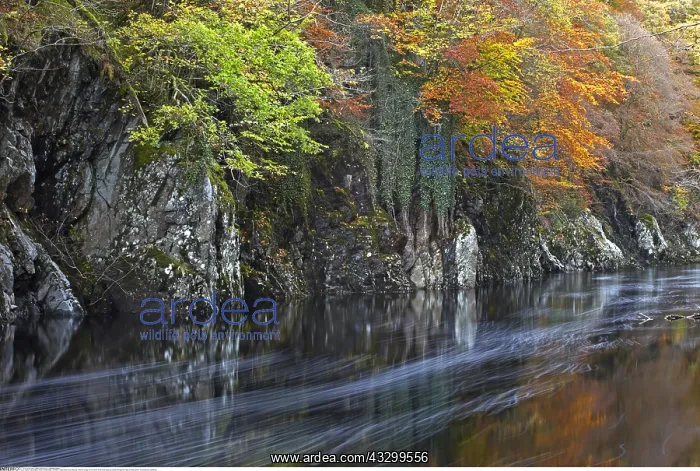 : geography / travel, Great Britain, Scotland, Killiecrankie : geography / travel, Great Britain, Scotland, Killiecrankie