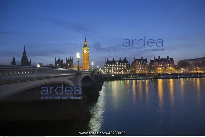 : geography / travel, Great Britain, England, London : geography / travel, Great Britain, England, London