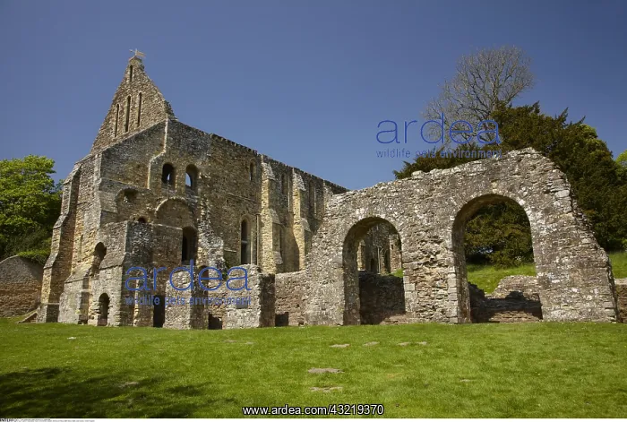 : Geography / travel, Great Britain, England, Monks : Geography / travel, Great Britain, England, Monks