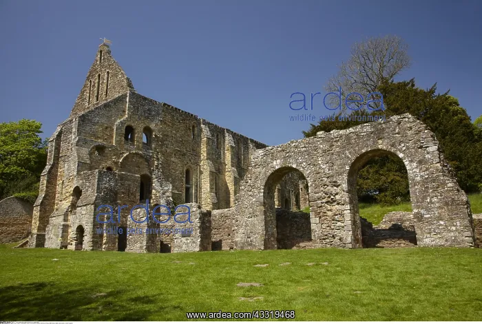 : Geography / travel, Great Britain, England, Monks : Geography / travel, Great Britain, England, Monks