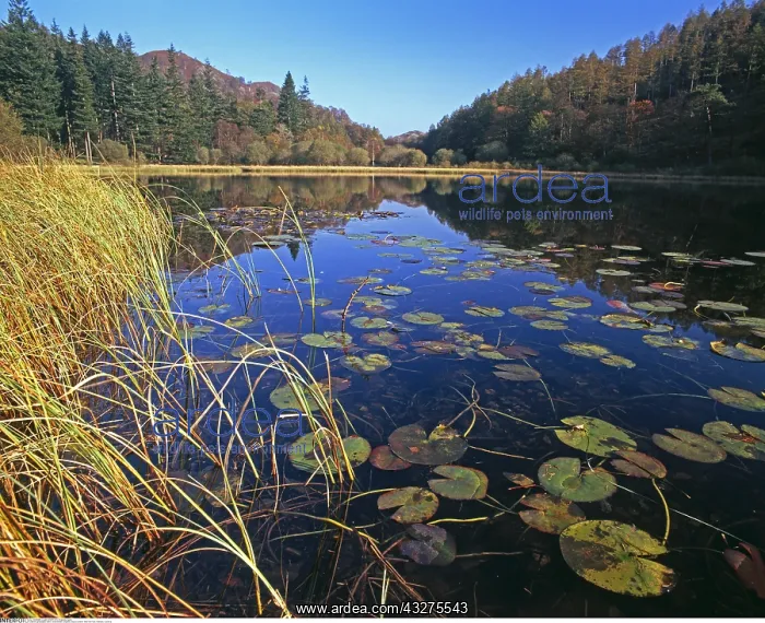 : geography / travel, Great Britain, England, Near : geography / travel, Great Britain, England, Near
