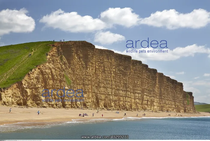 : Geography / travel, Great Britain, England, People : Geography / travel, Great Britain, England, People