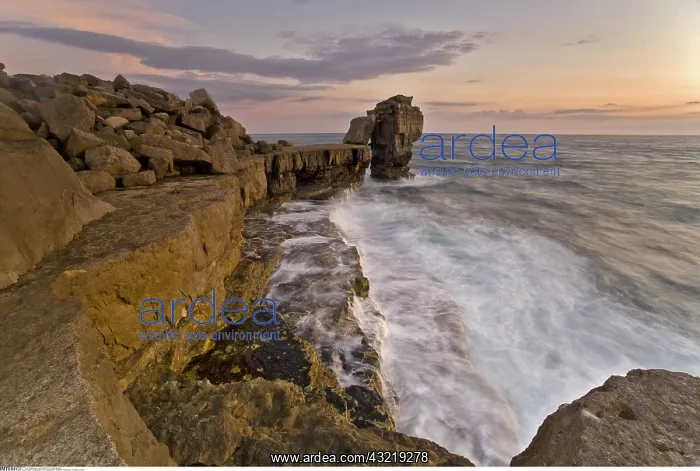 : geography / travel, Great Britain, England, Pulpit : geography / travel, Great Britain, England, Pulpit