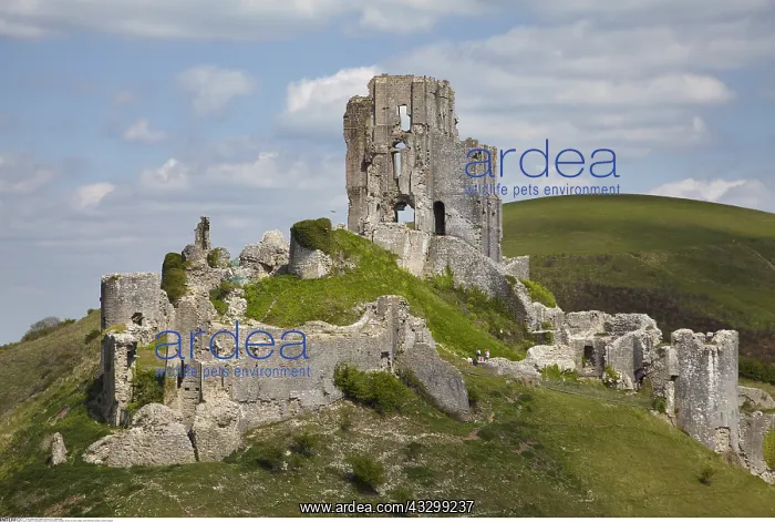 : Geography / travel, Great Britain, England, Ruins : Geography / travel, Great Britain, England, Ruins