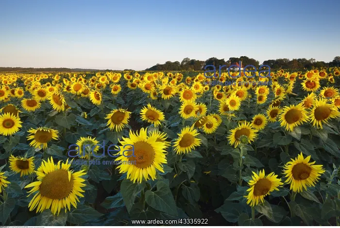 : Geography / travel, Great Britain, England, West : Geography / travel, Great Britain, England, West