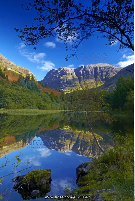 : geography / travel, Great Britain, Scotland, Glen : geography / travel, Great Britain, Scotland, Glen
