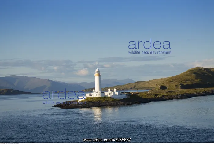 : geography / travel, Great Britain, Scotland, Mull : geography / travel, Great Britain, Scotland, Mull