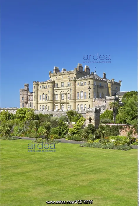 : geography / travel, Great Britain, Scotland, South : geography / travel, Great Britain, Scotland, South