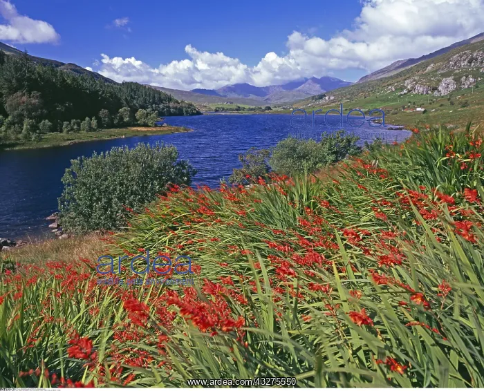  : geography  /  travel, Great Britain, Wales, Capel