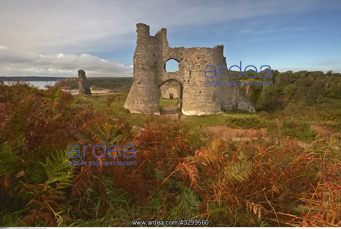 : geography / travel, Great Britain, Wales, Gower : geography / travel, Great Britain, Wales, Gower