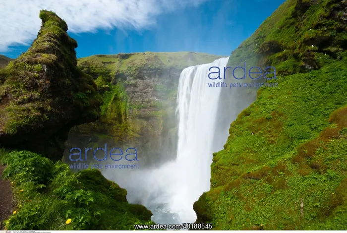 : geography / travel, Iceland, waterfall Skagafoss : geography / travel, Iceland, waterfall Skagafoss