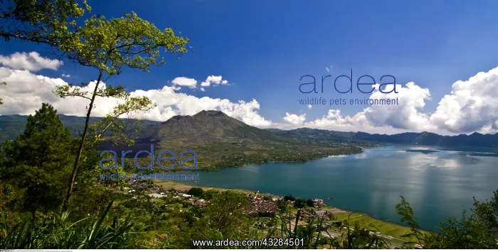 : geography / travel, Indonesia, Bali, Panoramic view : geography / travel, Indonesia, Bali, Panoramic view