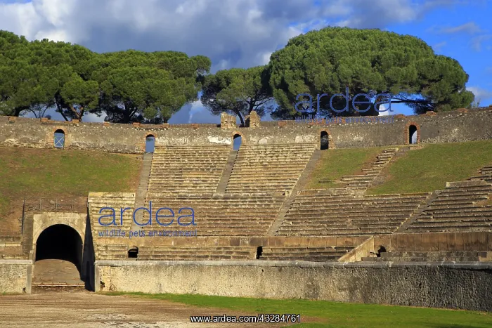 : geography / travel, Italy, Amphitheatre, Pompeii : geography / travel, Italy, Amphitheatre, Pompeii