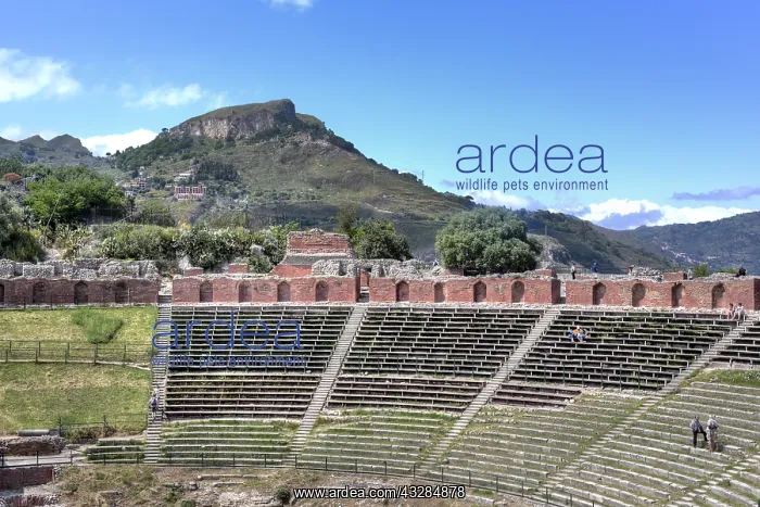 : geography / travel, Italy, Ancient theatre, Taormina : geography / travel, Italy, Ancient theatre, Taormina
