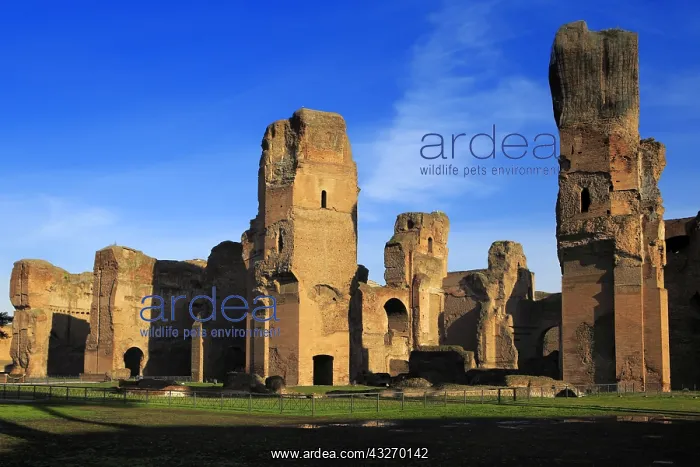 : geography / travel, Italy, Baths of Caracalla (217) : geography / travel, Italy, Baths of Caracalla (217)