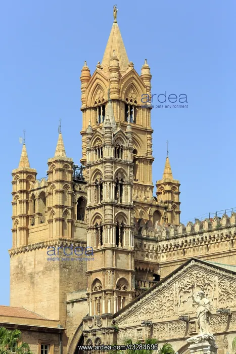 : geography / travel, Italy, Bell tower of Palermo : geography / travel, Italy, Bell tower of Palermo
