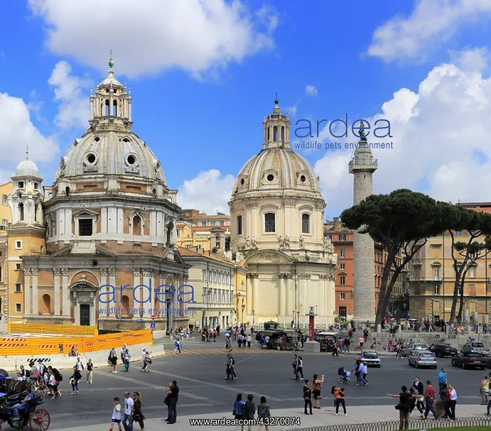 : geography / travel, Italy, Church of Santa Maria : geography / travel, Italy, Church of Santa Maria