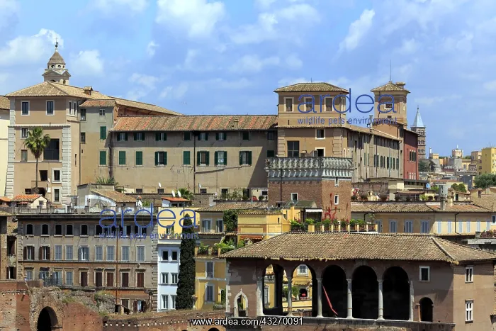 : geography / travel, Italy, Cityscape from Altare : geography / travel, Italy, Cityscape from Altare