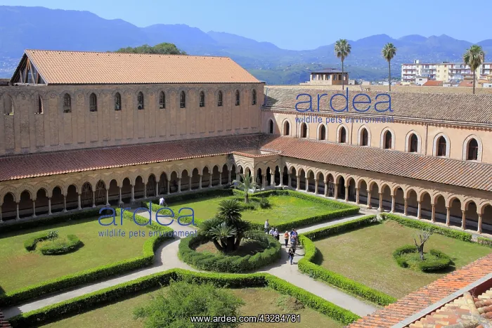 : geography / travel, Italy, Cloister of Monreale : geography / travel, Italy, Cloister of Monreale