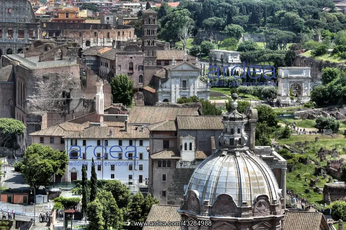 : geography / travel, Italy, Dome of Saint Lucas And : geography / travel, Italy, Dome of Saint Lucas And