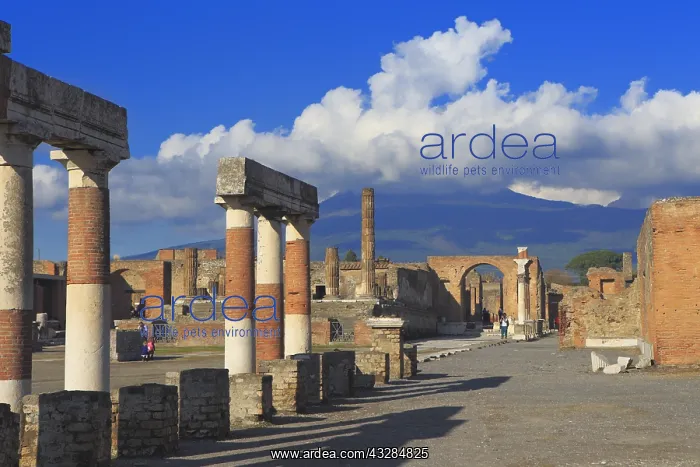 : geography / travel, Italy, Forum, Pompeii, Campania : geography / travel, Italy, Forum, Pompeii, Campania