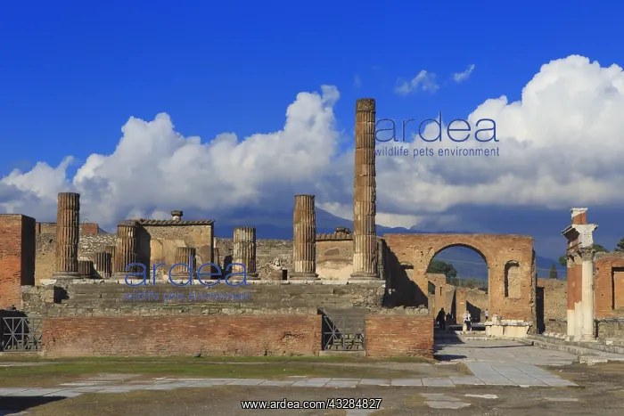 : geography / travel, Italy, Forum, Pompeii, Campania : geography / travel, Italy, Forum, Pompeii, Campania