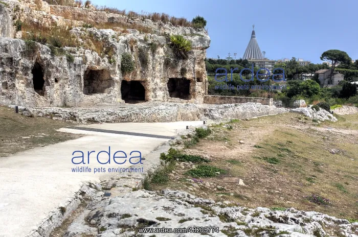 : geography / travel, Italy, Greek Theatre (5th century : geography / travel, Italy, Greek Theatre (5th century