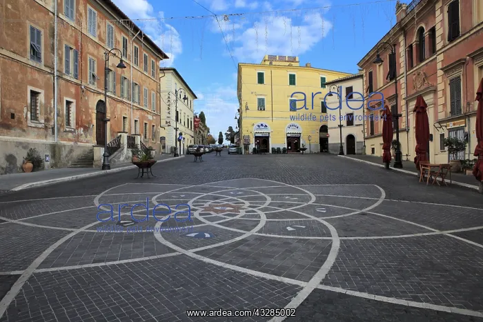 : geography / travel, Italy, Main square, Palazzo : geography / travel, Italy, Main square, Palazzo