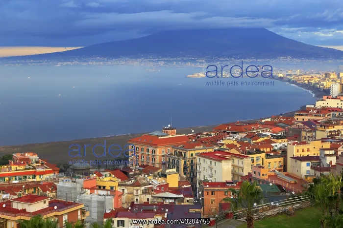 : geography / travel, Italy, Mount Vesuvius, view : geography / travel, Italy, Mount Vesuvius, view