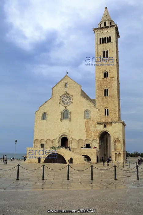 : geography / travel, Italy, Old Cathedral (Duomo : geography / travel, Italy, Old Cathedral (Duomo