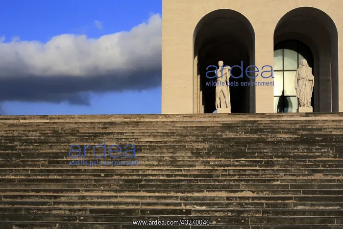 : geography / travel, Italy, Palazzo della Civilta : geography / travel, Italy, Palazzo della Civilta