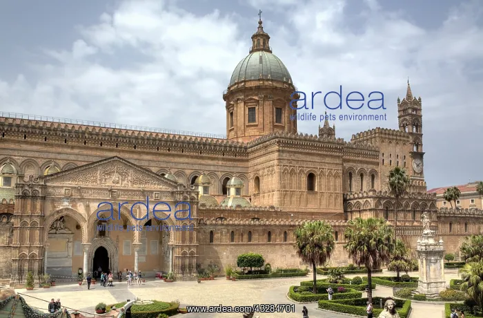 : geography / travel, Italy, Palermo cathedral, Palermo : geography / travel, Italy, Palermo cathedral, Palermo
