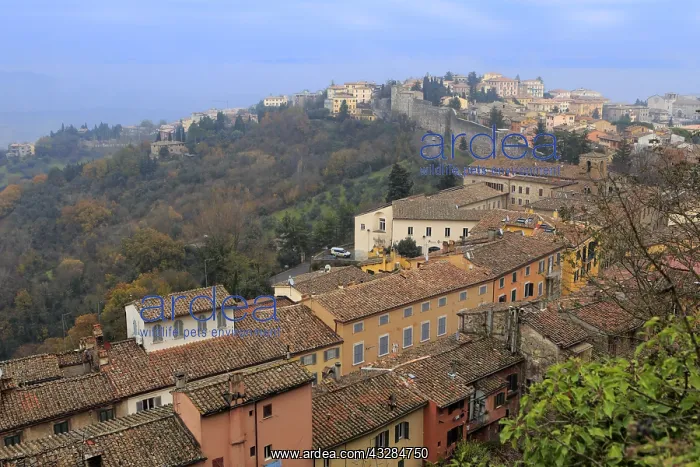 : geography / travel, Italy, Perugia, Umbria : geography / travel, Italy, Perugia, Umbria