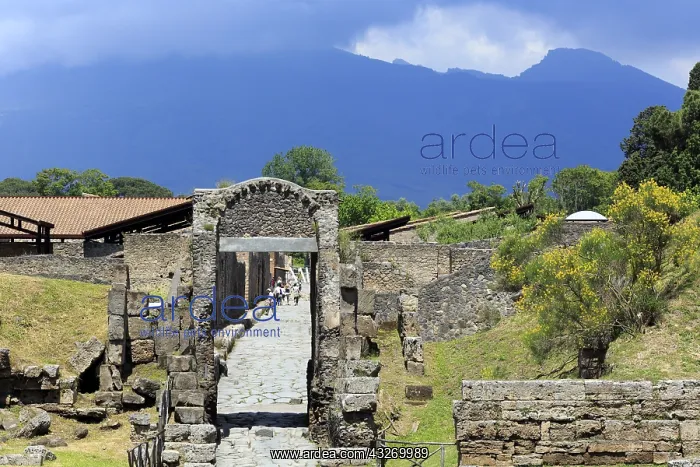 : geography / travel, Italy, Pompeii, Campania : geography / travel, Italy, Pompeii, Campania