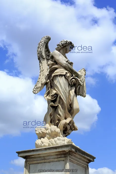 : geography / travel, Italy, Ponte Sant'Angelo (Aelian : geography / travel, Italy, Ponte Sant'Angelo (Aelian
