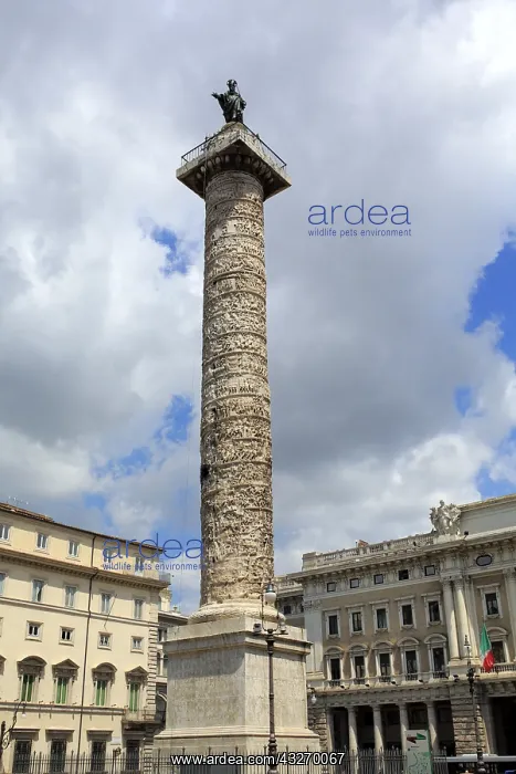 : geography / travel, Italy, Rome : geography / travel, Italy, Rome