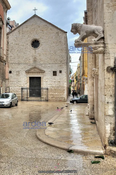 : geography / travel, Italy, Street in old town, Barletta : geography / travel, Italy, Street in old town, Barletta