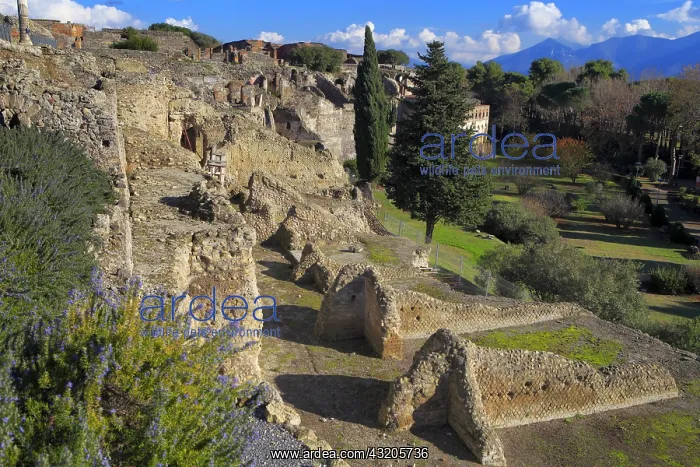 : geography / travel, Italy, Suburban substructions : geography / travel, Italy, Suburban substructions