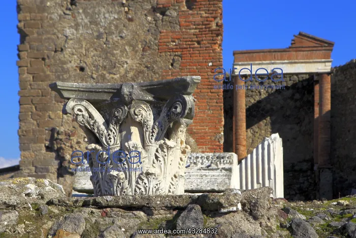 : geography / travel, Italy, Tempio di Vespasiano : geography / travel, Italy, Tempio di Vespasiano