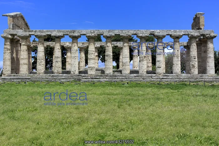 : geography / travel, Italy, Temple of Athena (500 : geography / travel, Italy, Temple of Athena (500